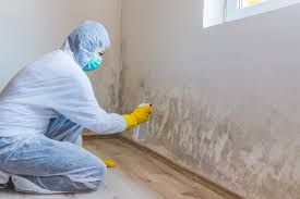 Best Real Estate Mold Inspection  in Clayton, CA