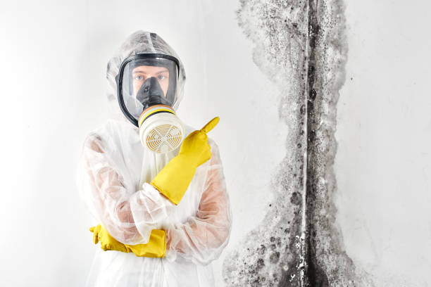 Best Residential Mold Inspection & Testing  in Clayton, CA