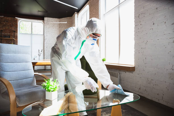 Best Mold Remediation for Healthcare Facilities  in Clayton, CA