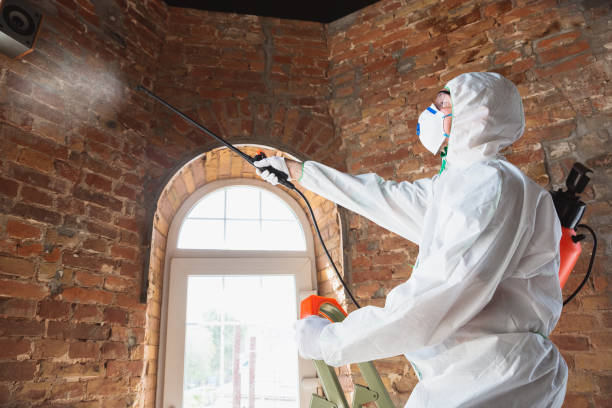 Best Asbestos and Lead Testing During Mold Inspection  in Clayton, CA