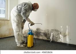 Best Commercial Mold Inspection  in Clayton, CA